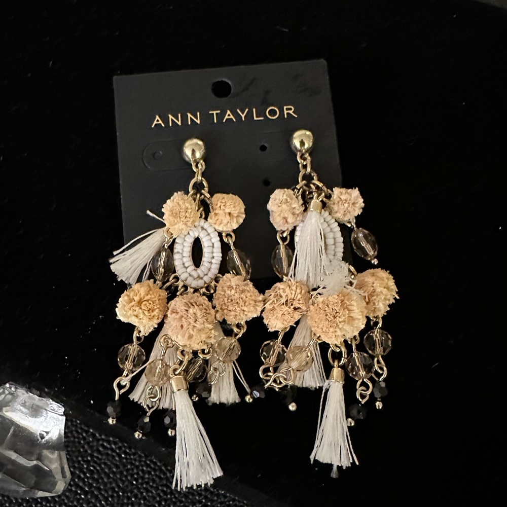 Ann Taylor earrings